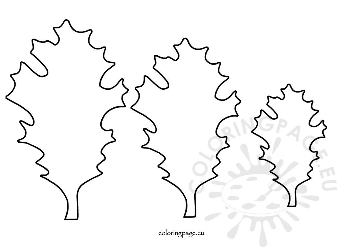 Different size oak leaves template coloring page