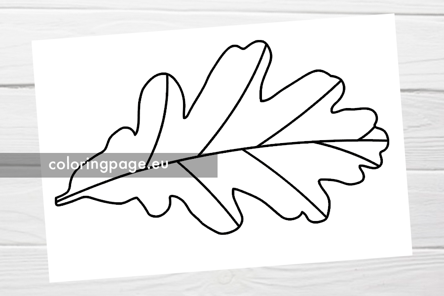 Autumn oak leaf template coloring page