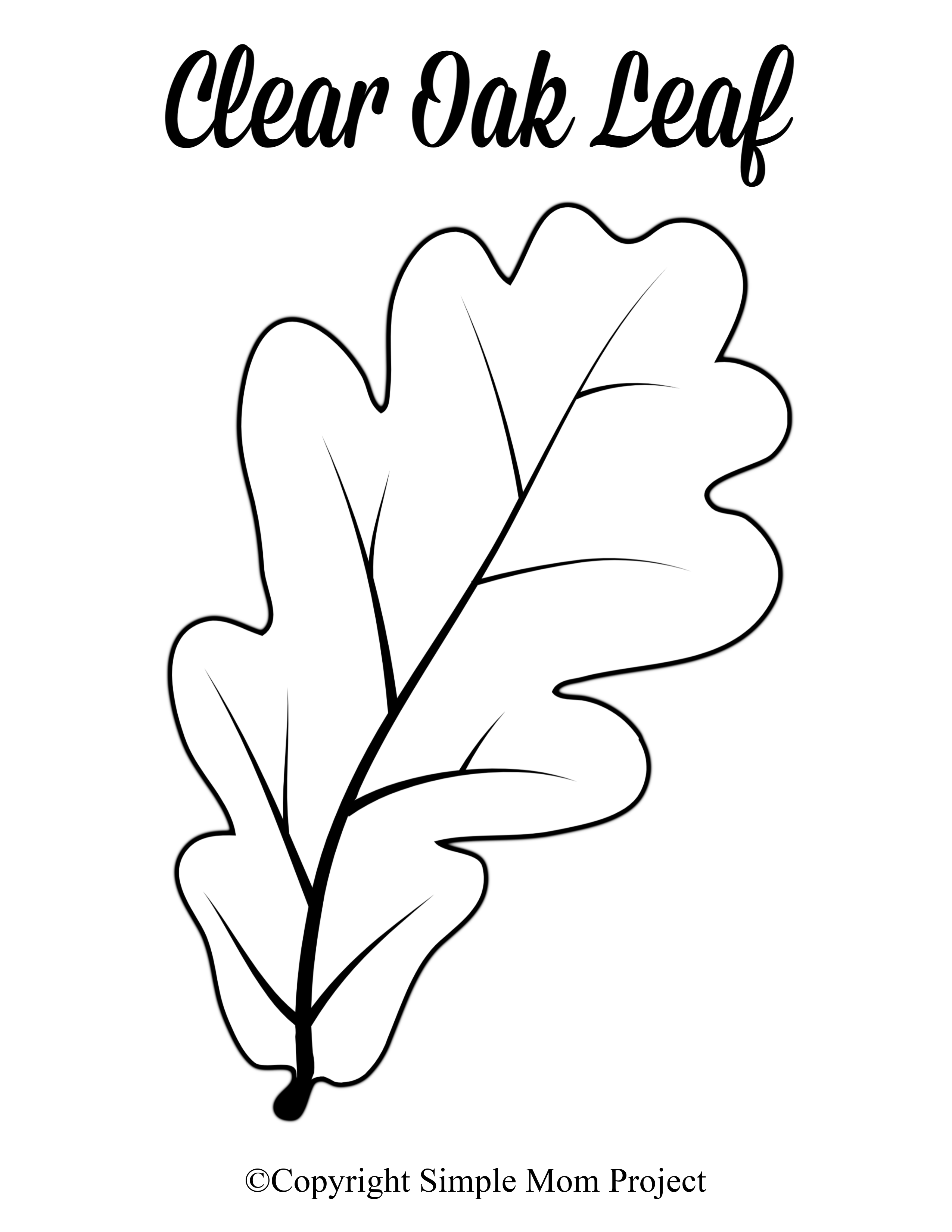 Free printable large leaf templates stencils and patterns â simple mom project