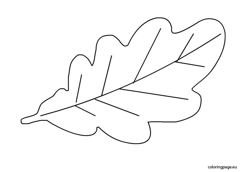 Oak leaf template coloring page leaf template tree coloring page leaves template free printable