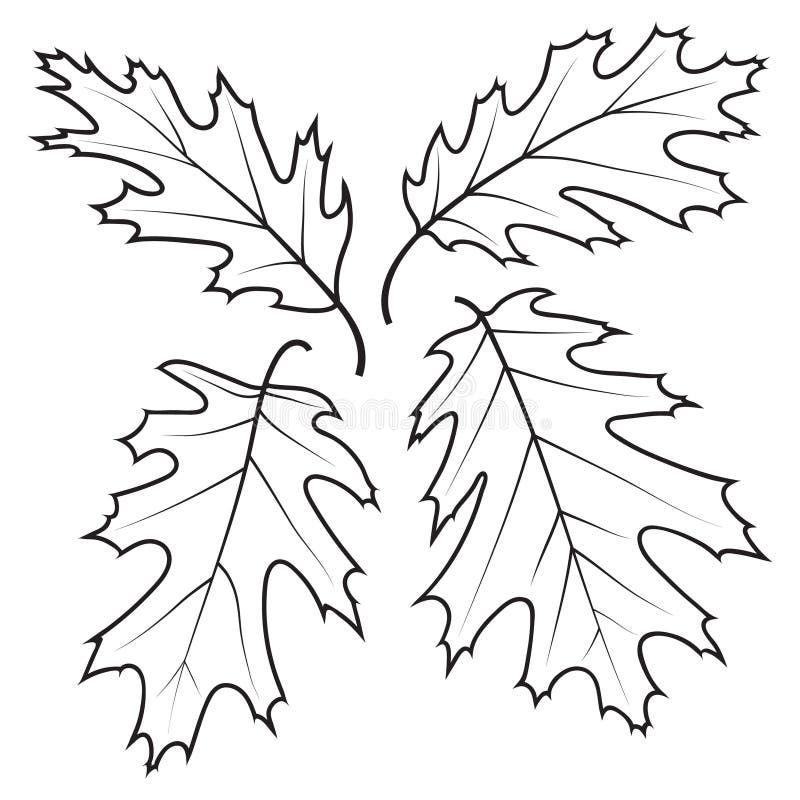 Coloring page oak stock illustrations â coloring page oak stock illustrations vectors clipart