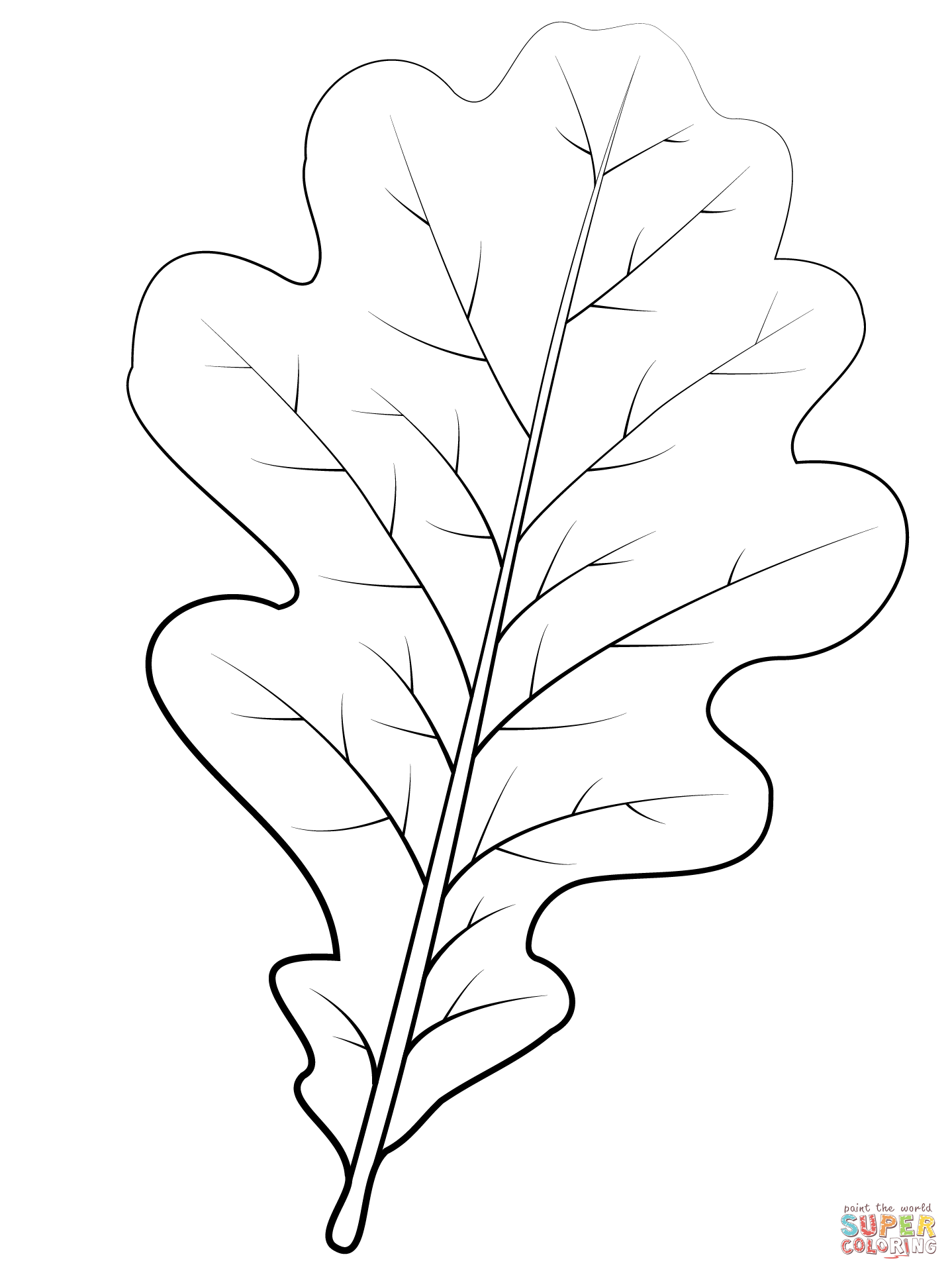 English oak leaf coloring page free printable coloring pages