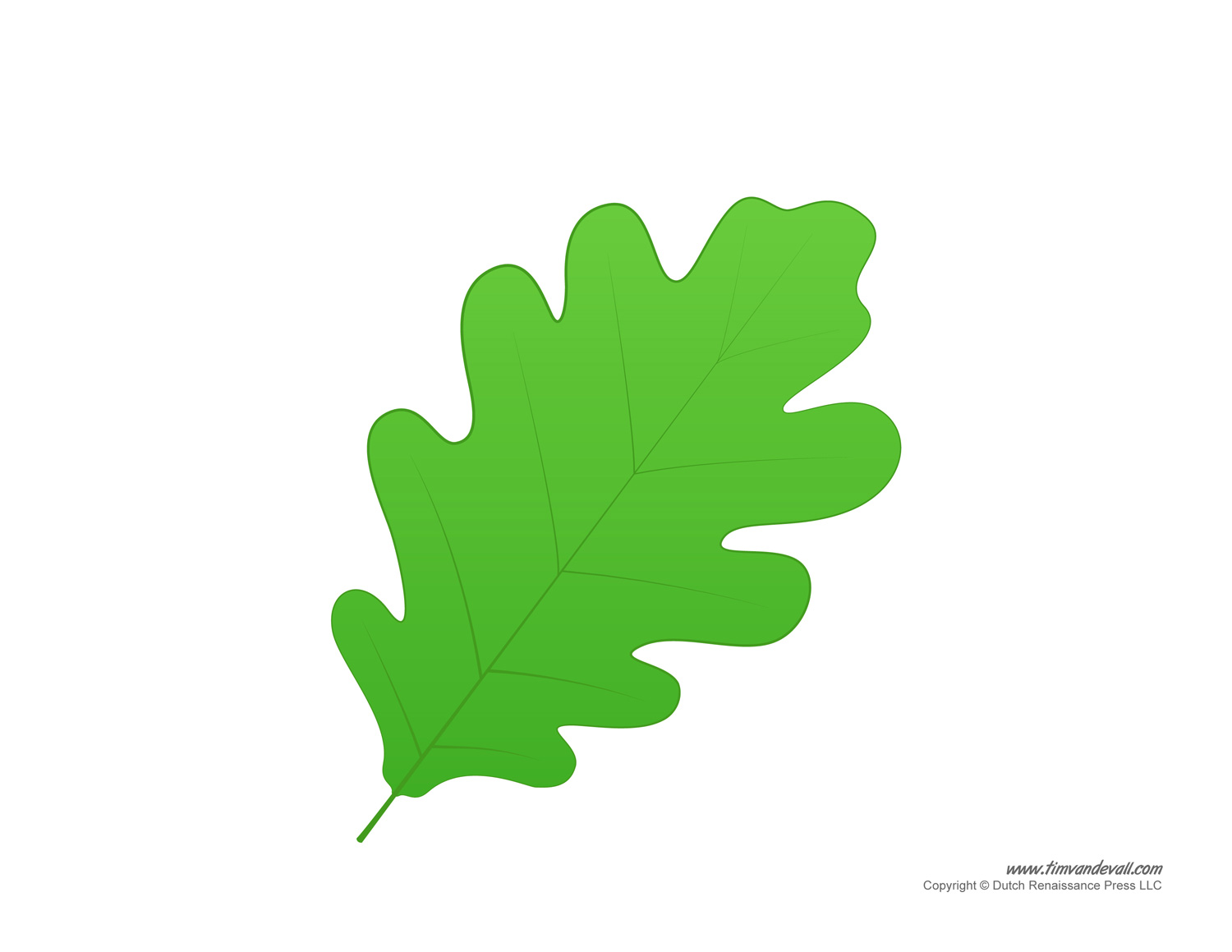 Leaf templates leaf coloring pages for kids leaf printables â tims printables