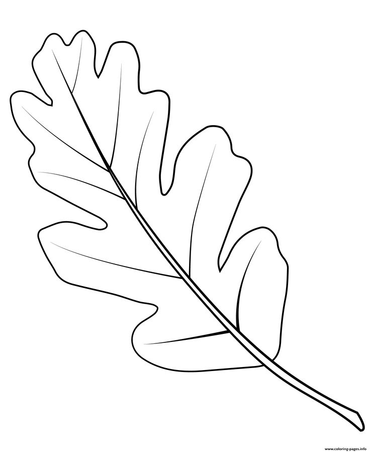 Prt valley oak leaf colorg pages leaf colorg page oak leaf tattoos leaves colorg book