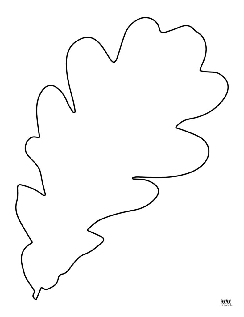 Leaf outlines templates coloring pages