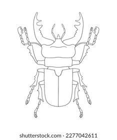 Beetle coloring royalty