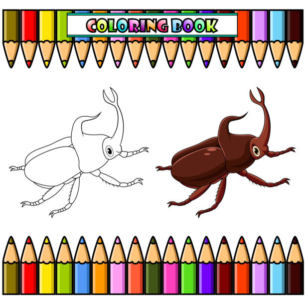 Rhino stag beetle stock photos pictures royalty
