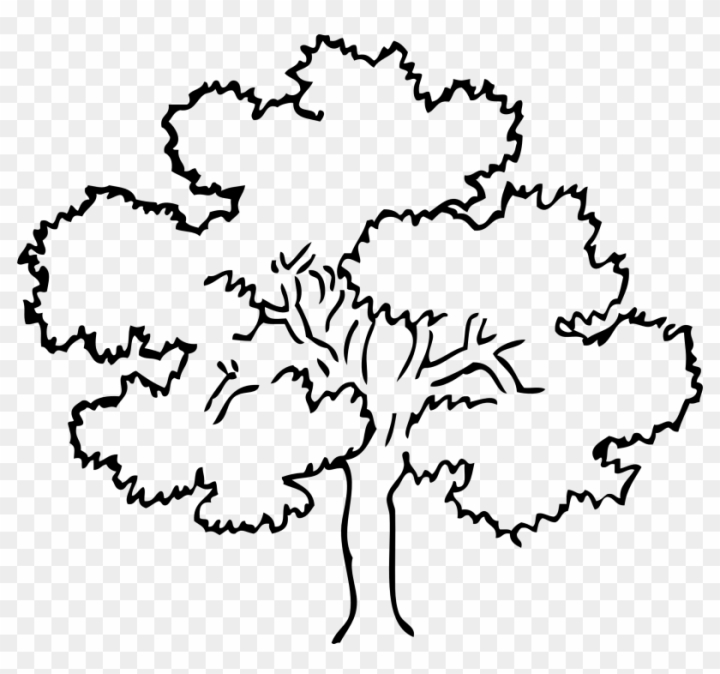 Free oak tree black white line art coloring book colouring