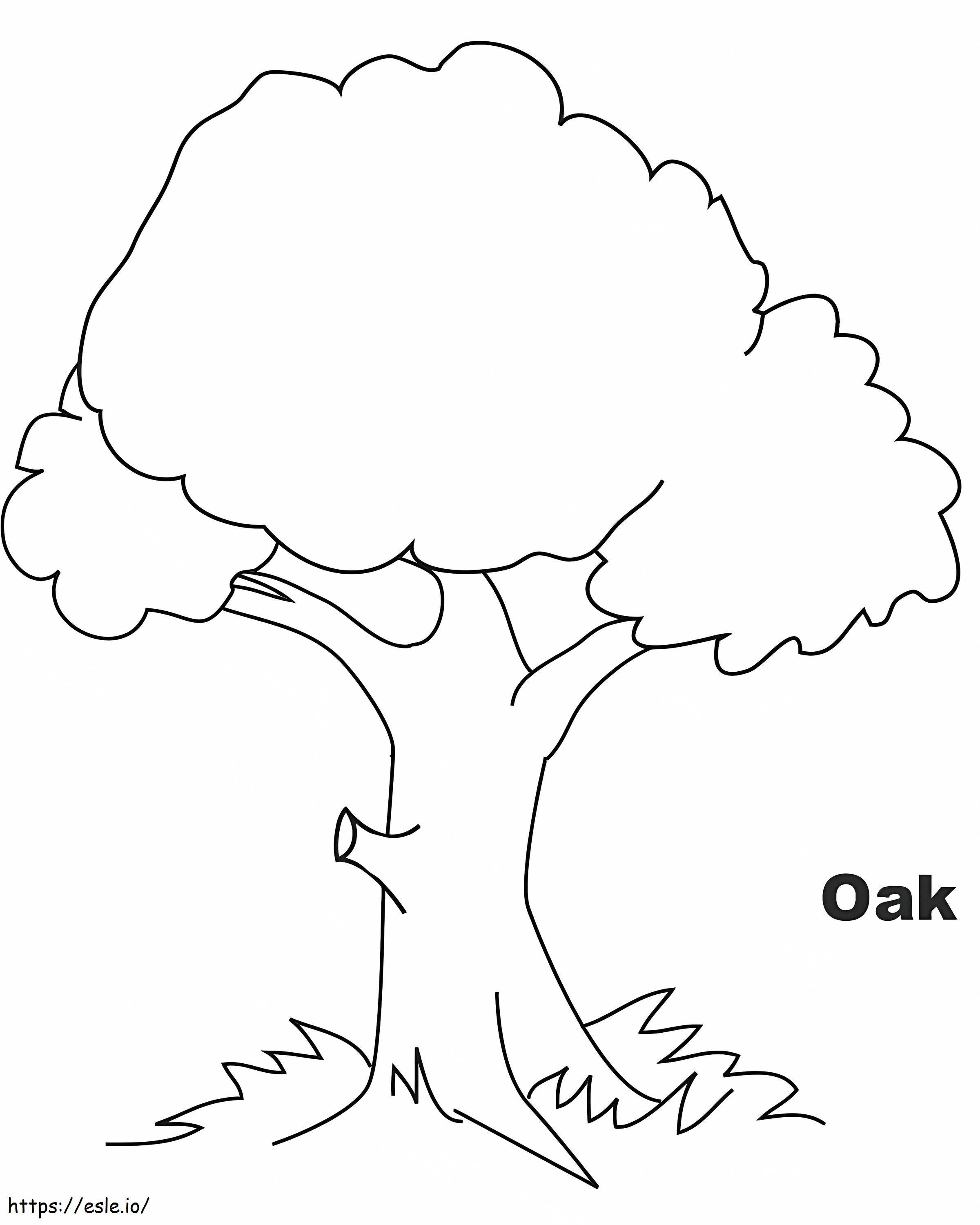 Hd oak tree image colorig page coloring page