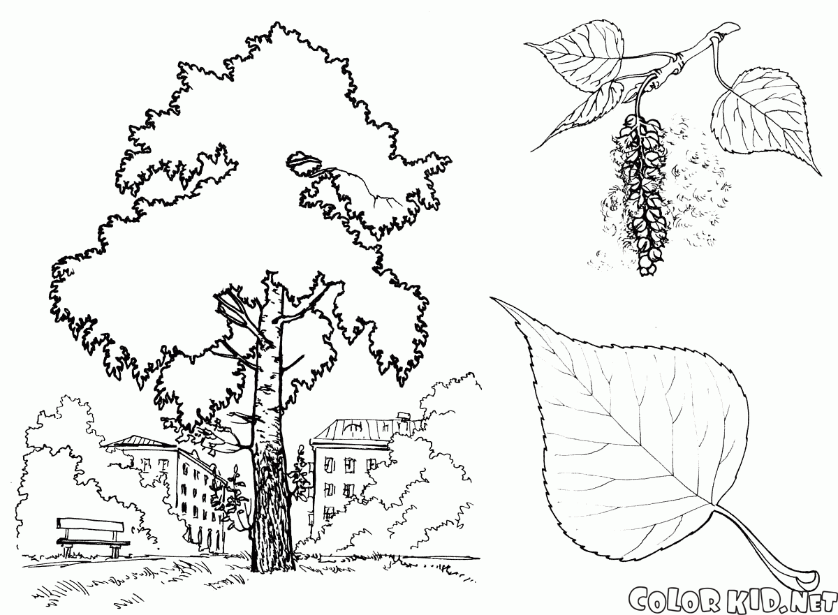 Coloring page