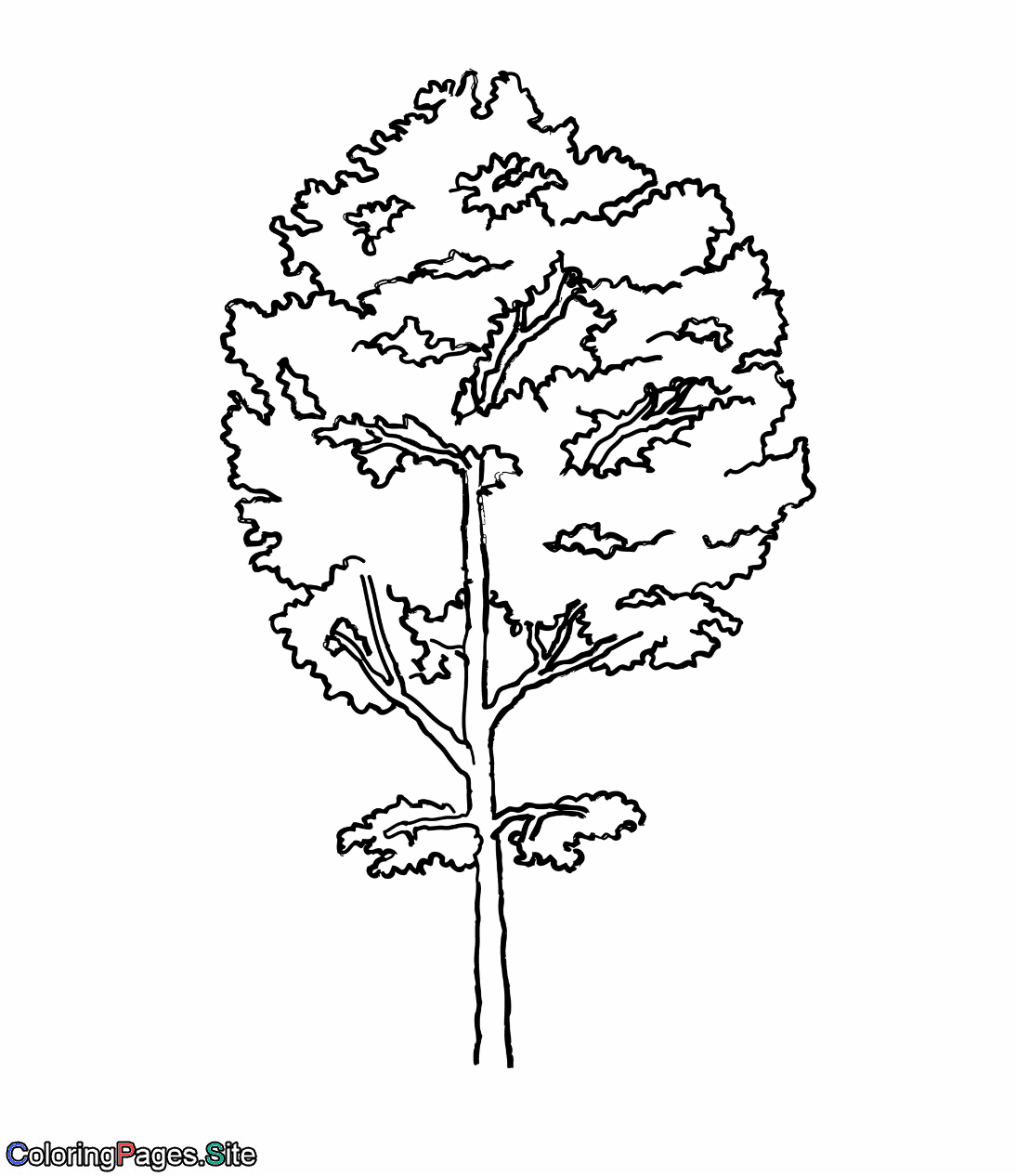 Aspen tree coloring page