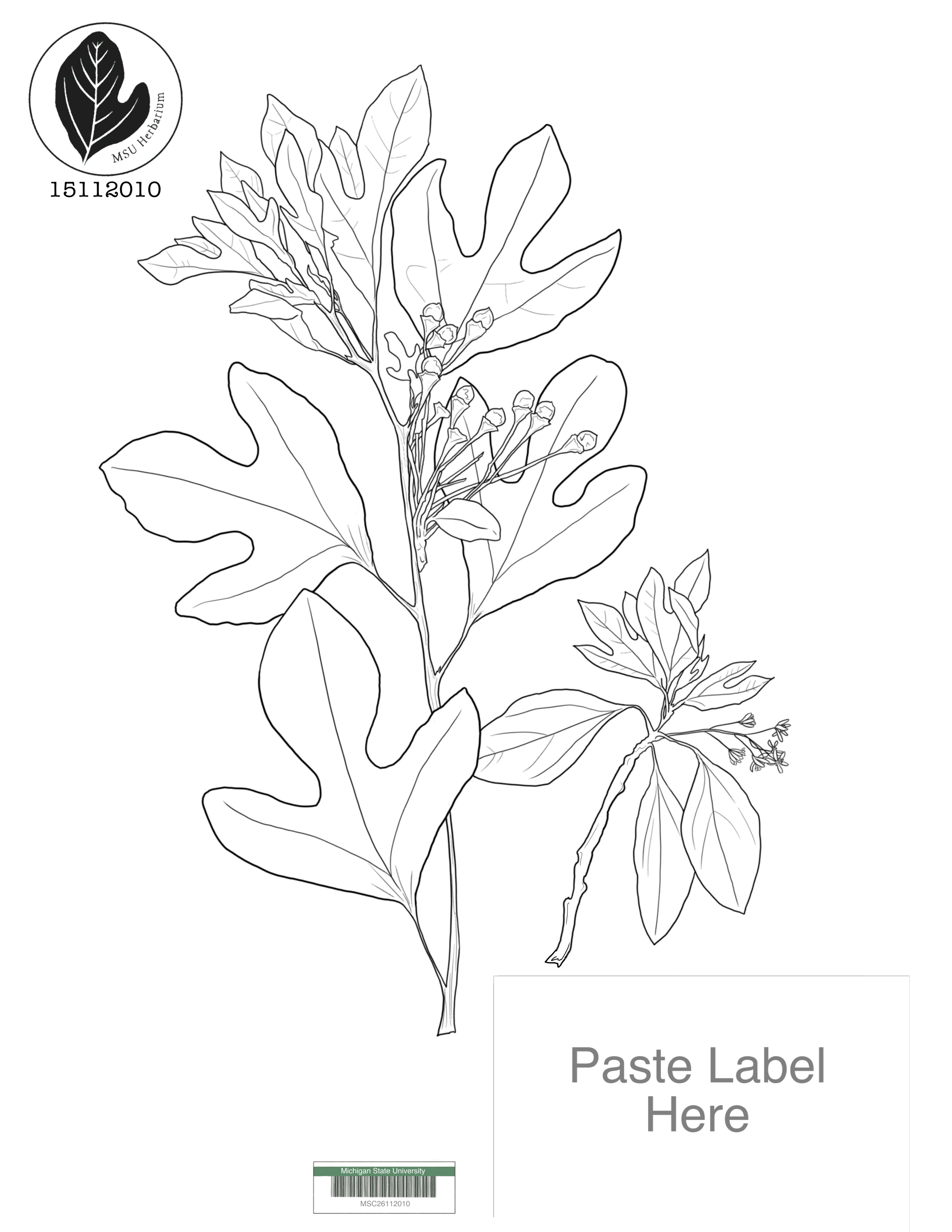 Coloring page