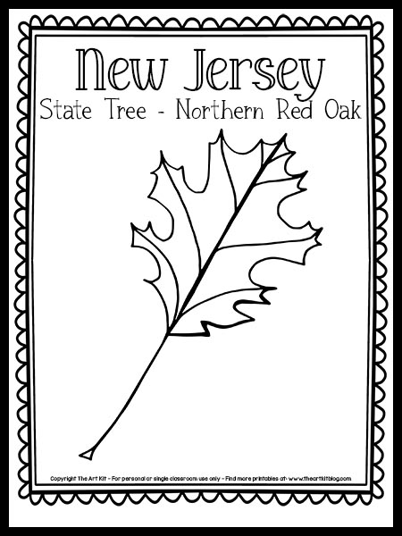 Free printable new jersey state tree coloring page northern red oak â the art kit
