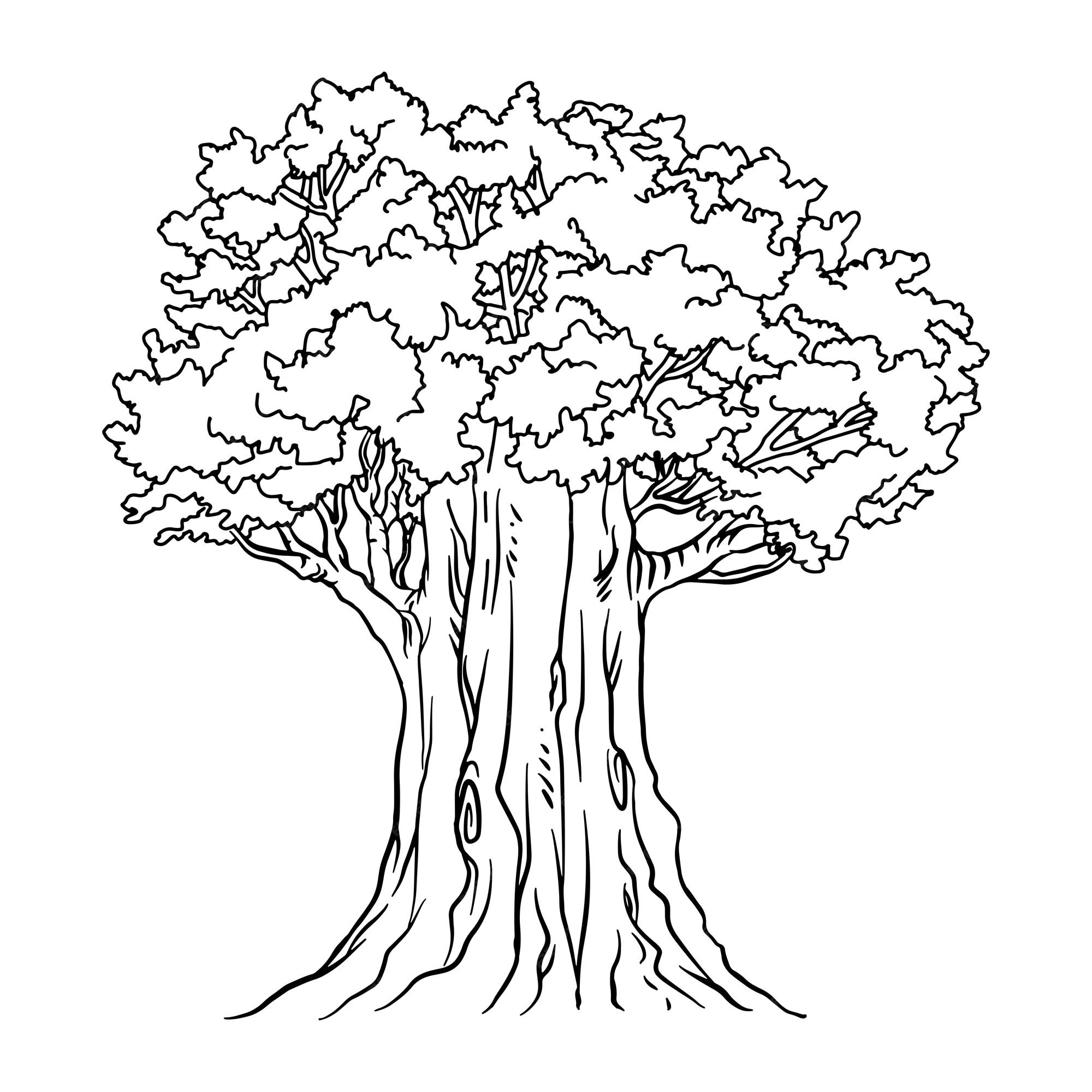 Premium vector big tree coloring page black and white vector tree