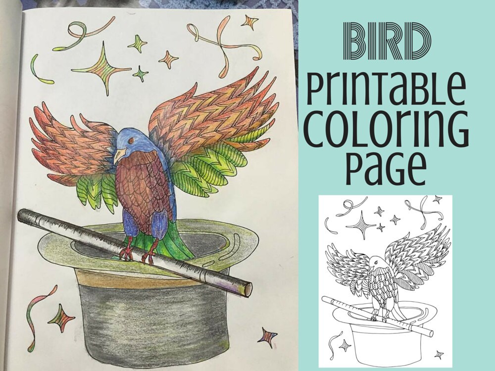 Coloring pages bird coloring book adult coloring pages