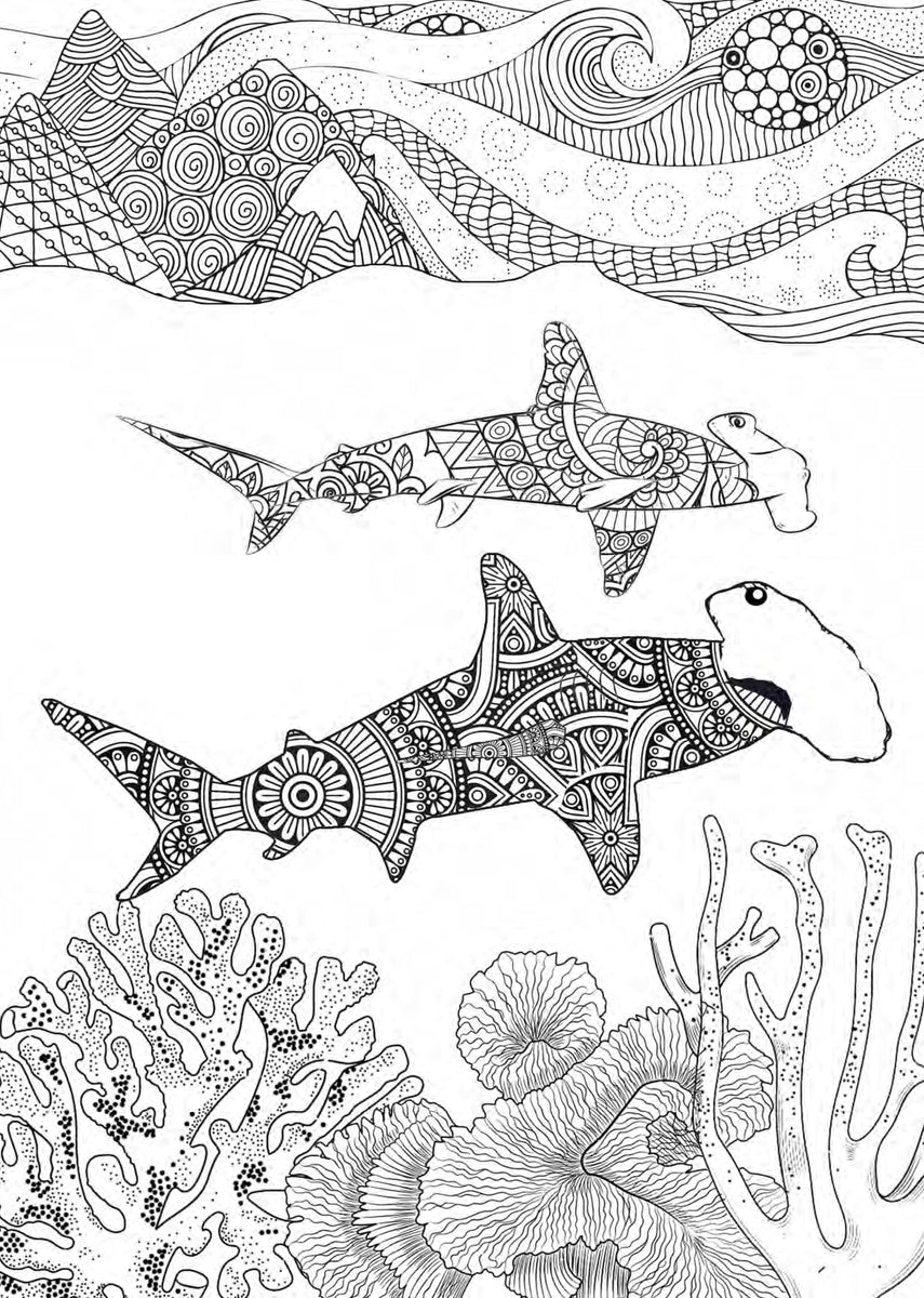 Wild ocean coloring book for adults digital â monsoon publishing usa