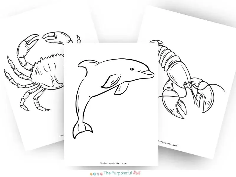 Ocean animal coloring pages
