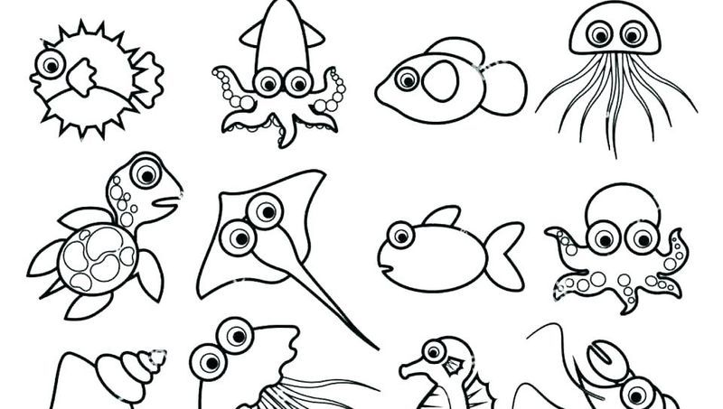 Ocean plants coloring pages in ocean coloring pages zoo animal coloring pages turtle coloring pages