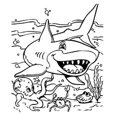 Top free printable sea animals coloring pages online