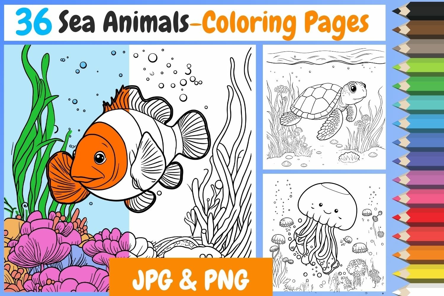 Sea animal coloring pages inside jpg png