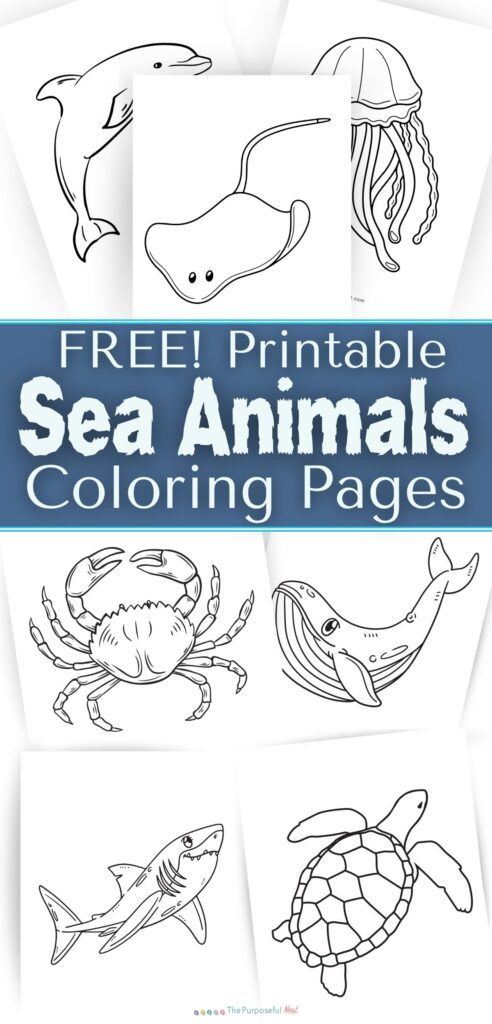 Ocean animal coloring pages