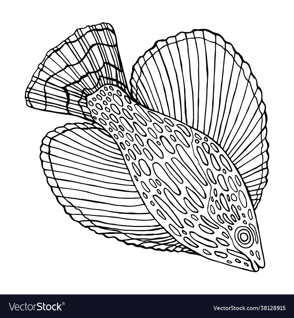 Fish sea animal coloring page for adult and kids vector image