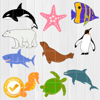 Ocean animals coloring pages ocean animals clipart made by teachers