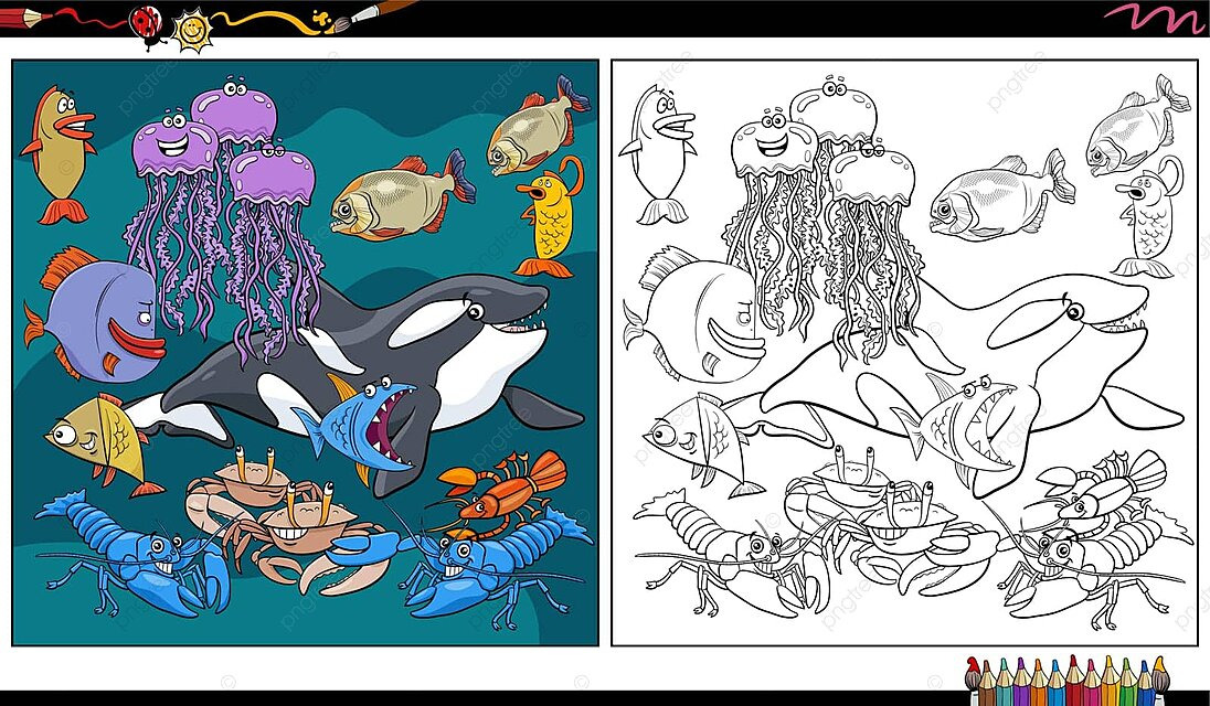 Cartoon marine animal characters group coloring page sea yabby education vector sea yabby education png and vector with transparent background for free download