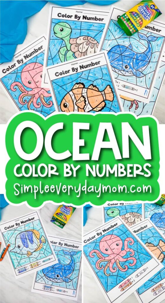 Color by number ocean animals