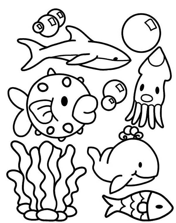 Free printable ocean coloring pages for kids ocean coloring pages animal coloring pages coloring pages