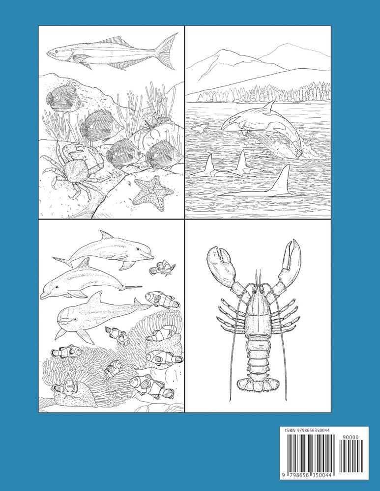 Animals of the sea coloring book realistic coloring pages on marine wildlife carlo atzei coloring books atzei carlo books