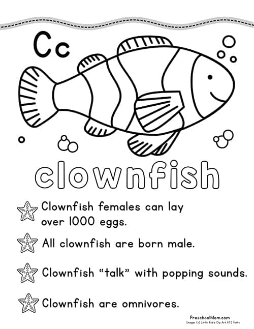 Ocean animal coloring pages