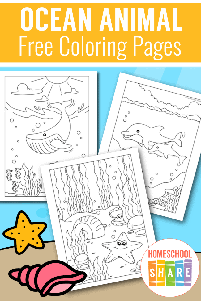Ocean animals coloring pages