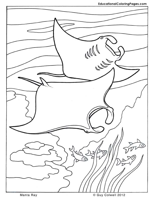 Ocean coloring pages free for kids
