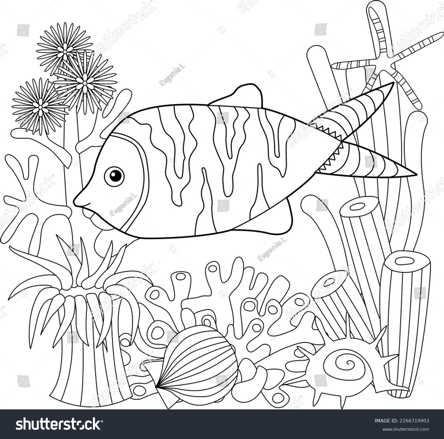 Poisson coloriage over royalty