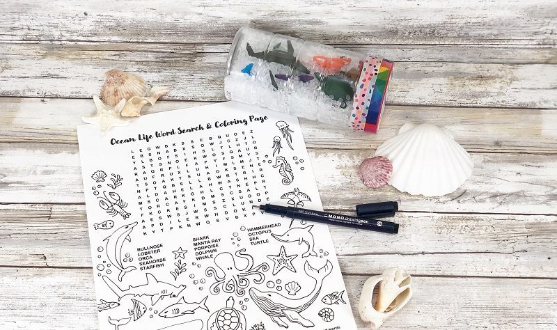 Ocean animal sensory bottle and word search