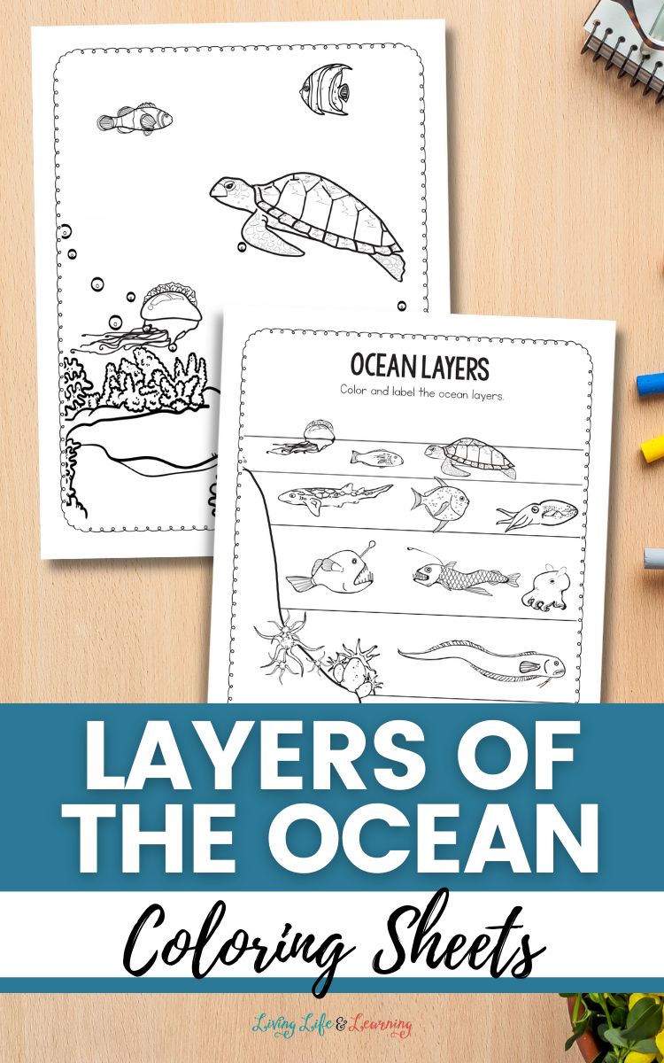 Layers of the ocean coloring sheets