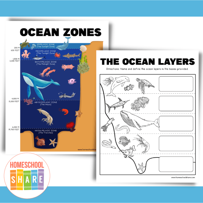Ocean zones worksheets free