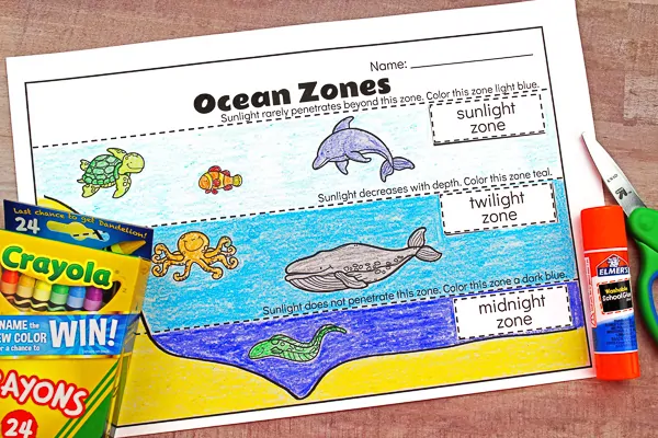 Ocean zones for kids learning about the amazing ocean