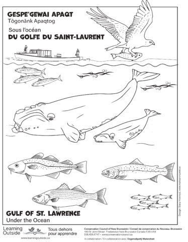 Colouring pages