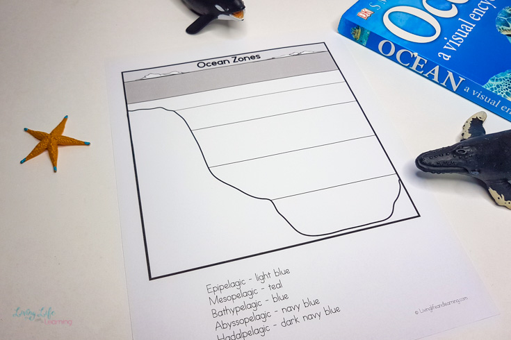 Ocean zones worksheets for kids