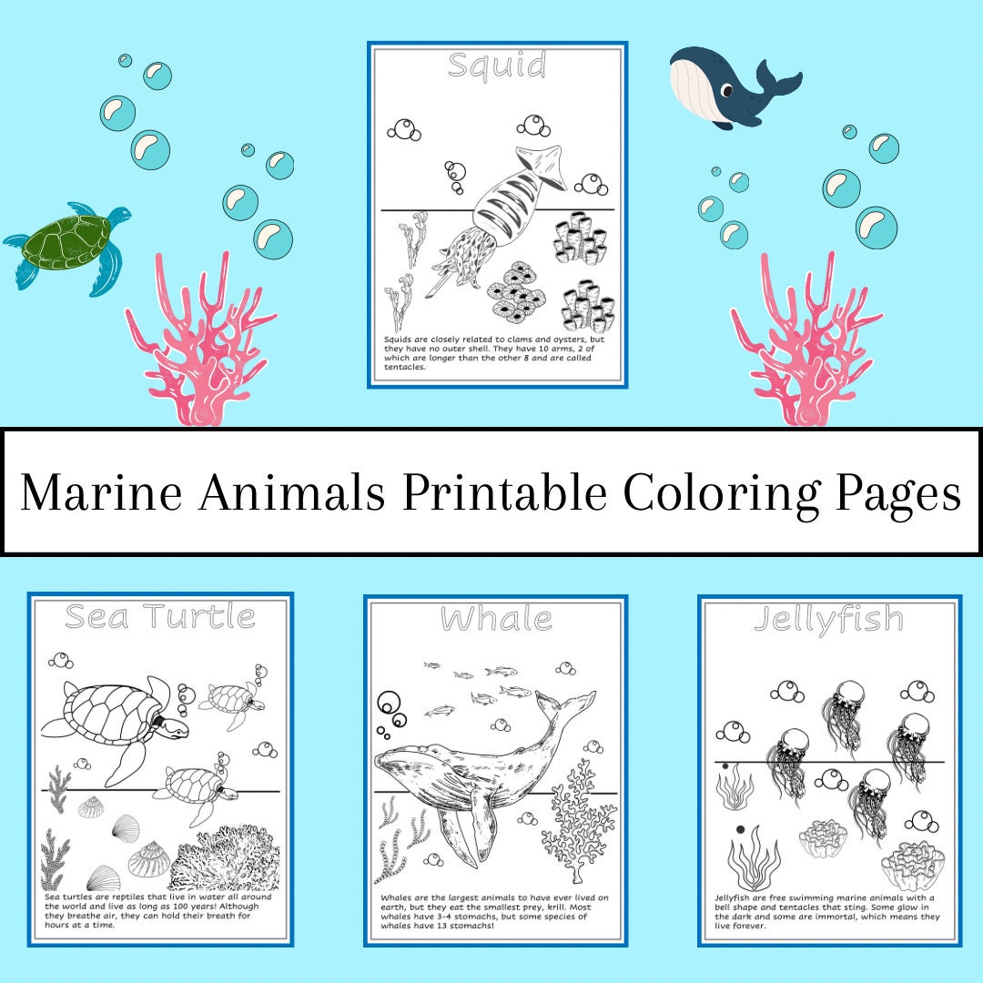 Marine animals printable coloring pages for kids coloring book for toddlers