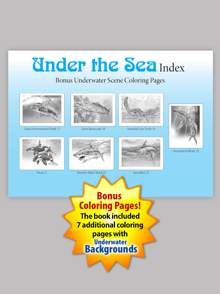 Animal sketches sea life coloring book â tim jeffs art