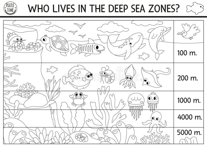 Shark octopus whale coloring stock illustrations â shark octopus whale coloring stock illustrations vectors clipart