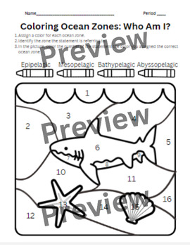 Ocean zones coloring activity by anyone can science tpt