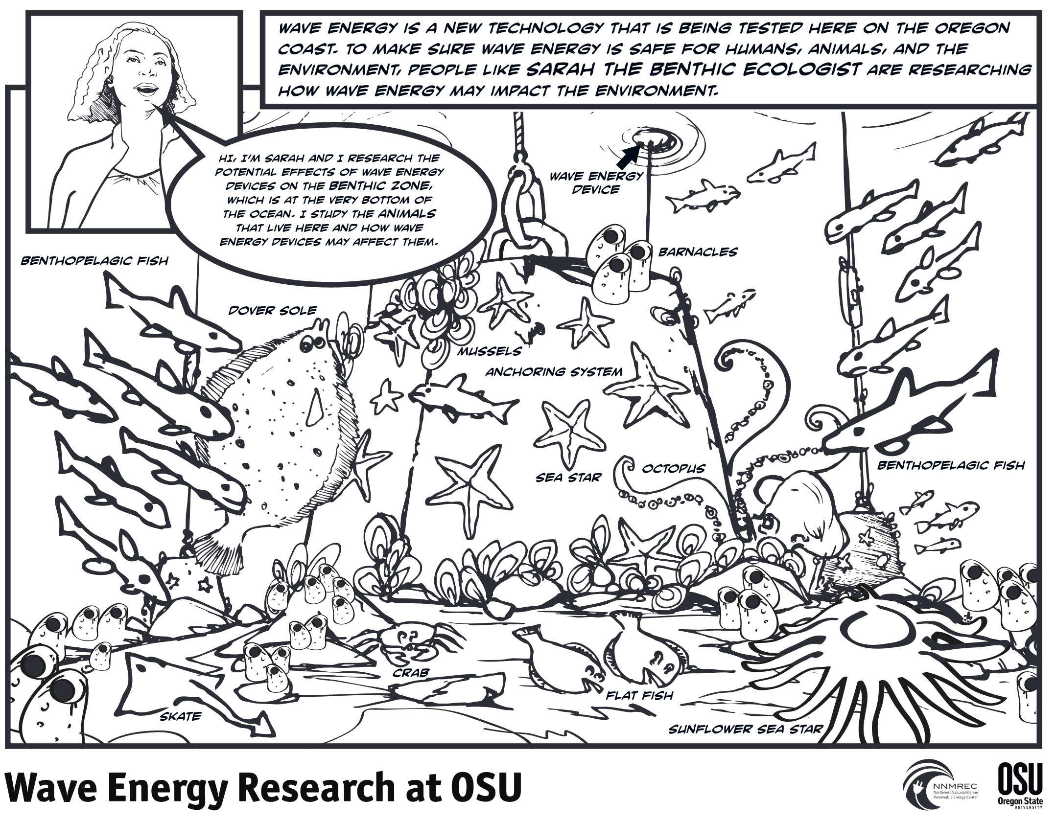 Coloringpagewaveenergyjpg hatfield marine science center oregon state university