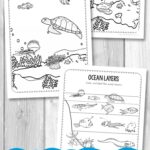 Layers of the ocean coloring sheets
