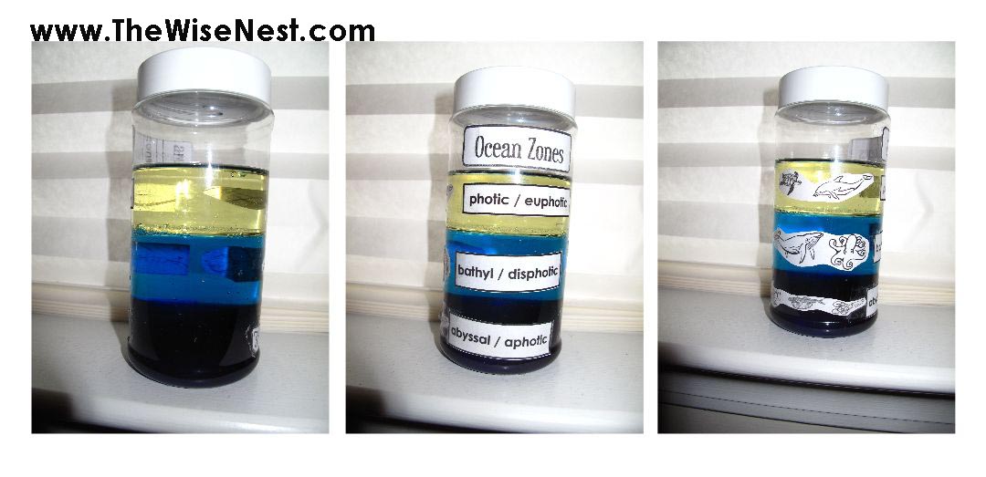 Ocean zones project