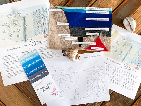 Ocean science resource pack homeschool resources ocean zones features of the ocean floor flip book poster felt template