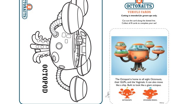 Octopod junior dia